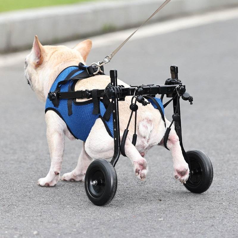 Pet Disabled Dog Wheelchair Scooter - FLORANZANI- Beauté & Santé